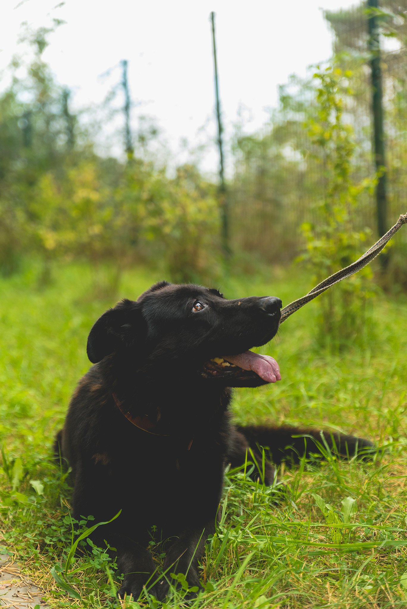Fėja – kontaktų skyriaus nuotrauka