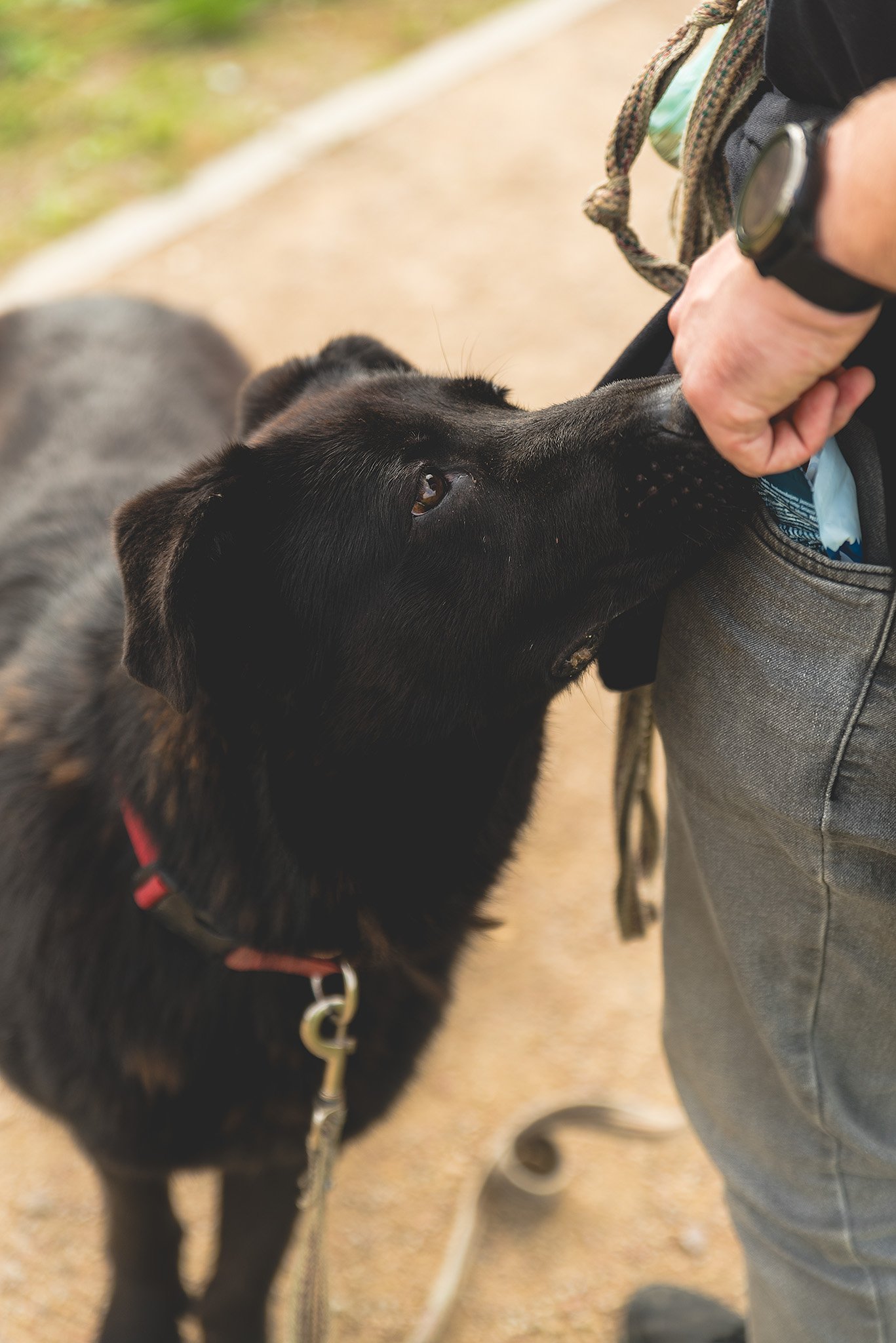 Fėja – švelni akimirka